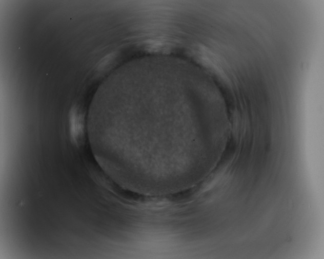 X0000094341154200711162004