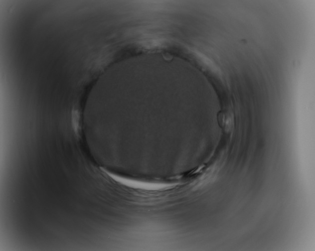 X0000094341156200711162004