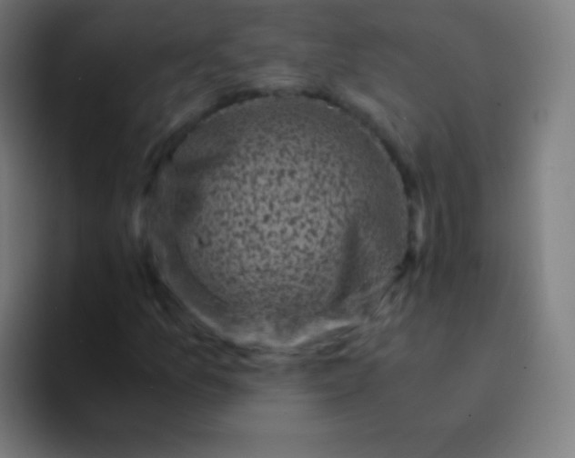 X0000094341157200711162004