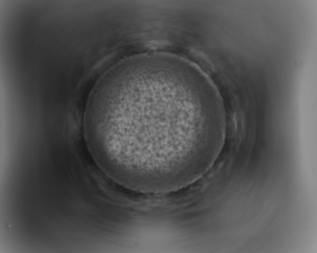 X0000094341158200711162004