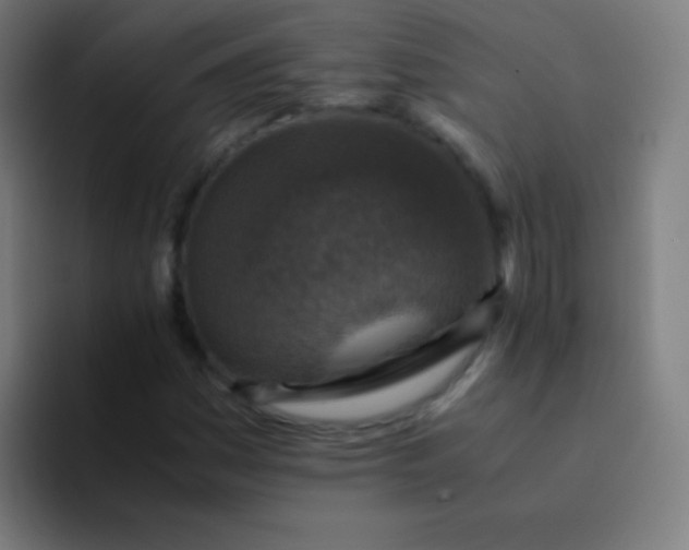 X0000094341161200711162004