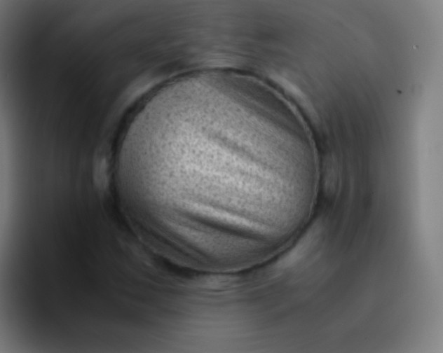 X0000094341163200711162004