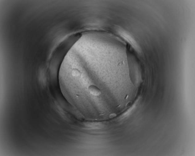 X0000094341164200711162004