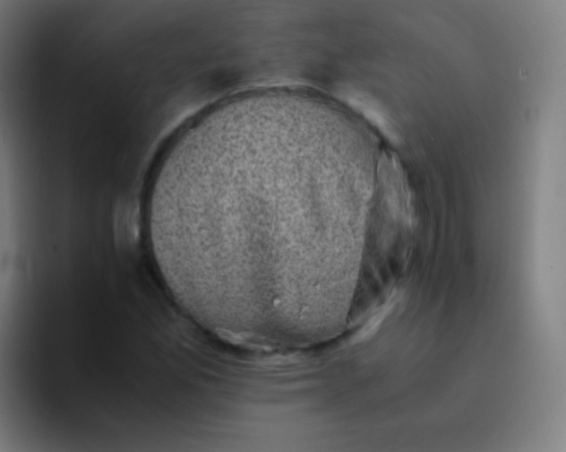 X0000094341165200711162004