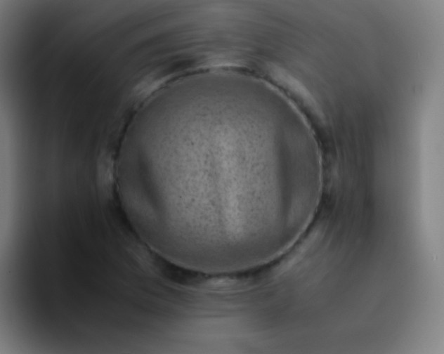 X0000094341169200711162004