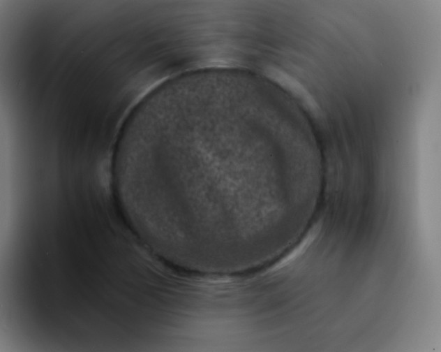 X0000094341170200711162004