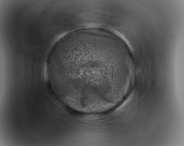 X0000094341171200711162004