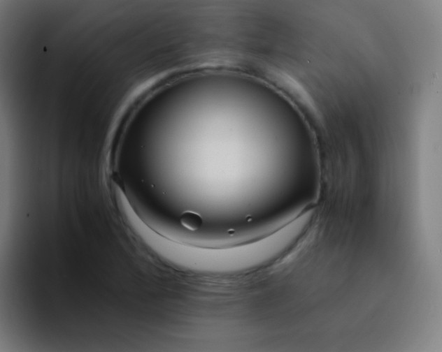 X0000094341172200711162004