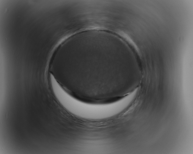 X0000094341173200711162004