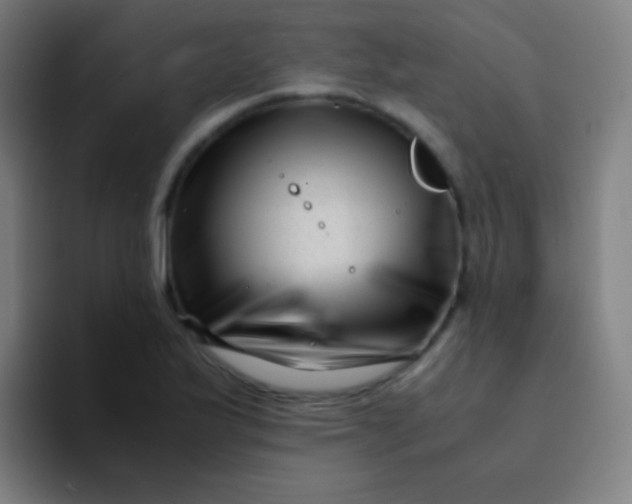 X0000094341175200711162004