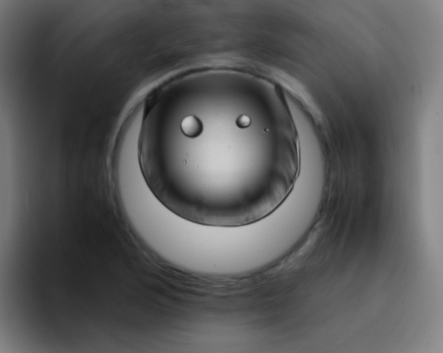 X0000094341176200711162004