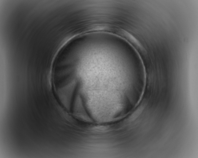 X0000094341178200711162004