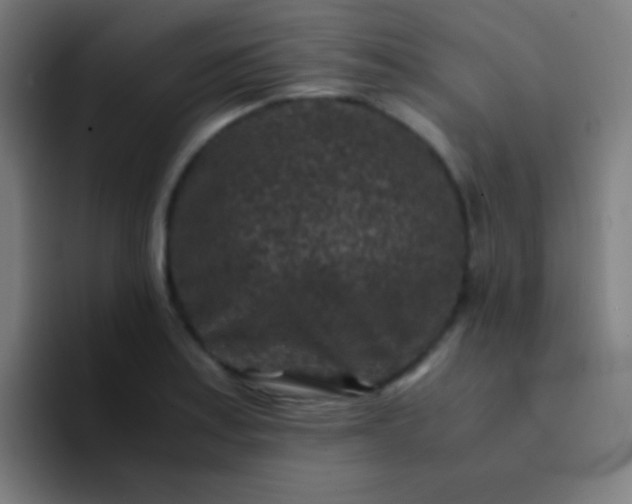 X0000094341179200711162004