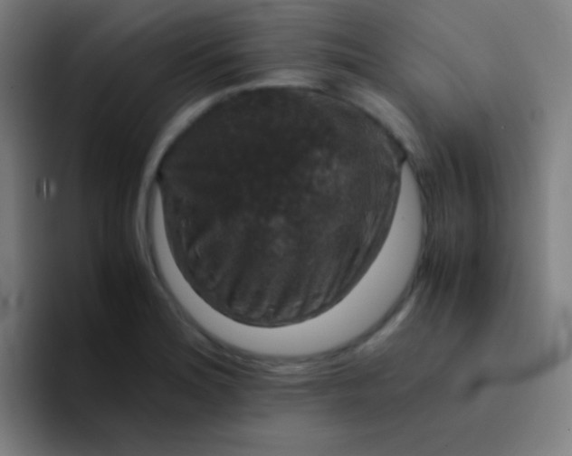 X0000094341180200711162004