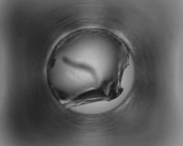 X0000094341181200711162004