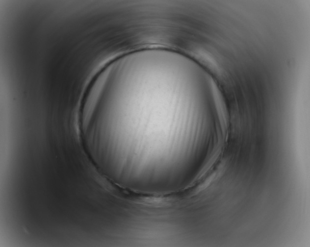 X0000094341182200711162004