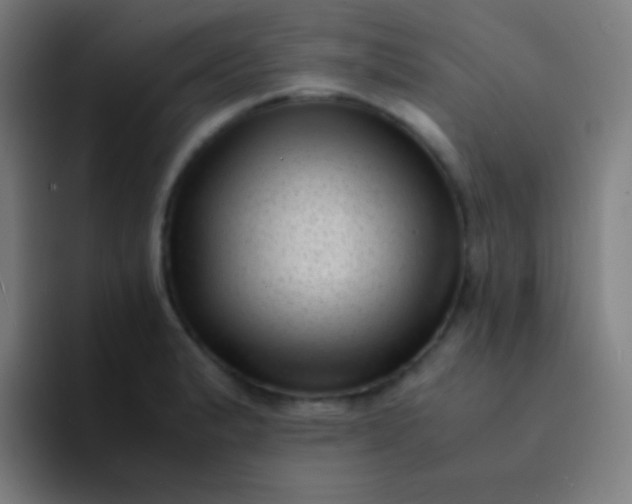 X0000094341183200711162004