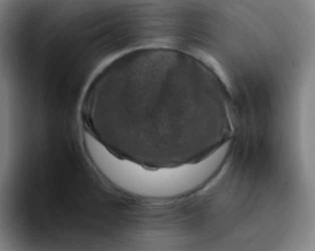 X0000094341184200711162004