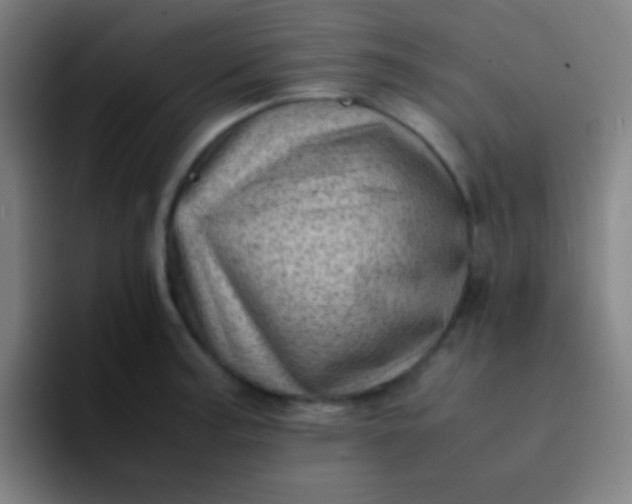 X0000094341187200711162004