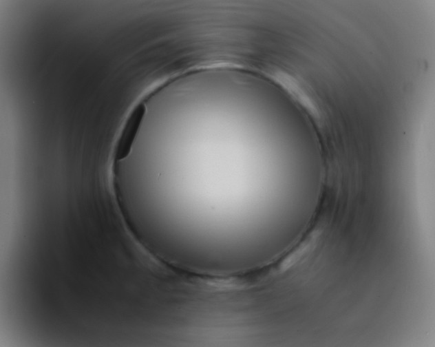 X0000094341189200711162004