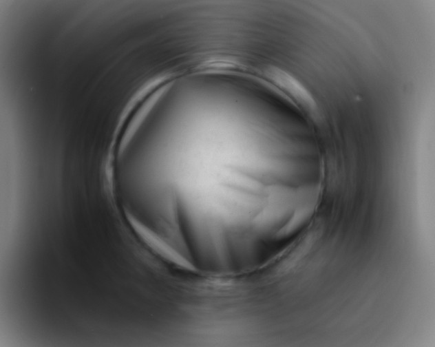 X0000094341190200711162004