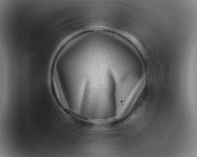 X0000094341191200711162003