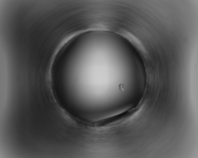 X0000094341192200711162003