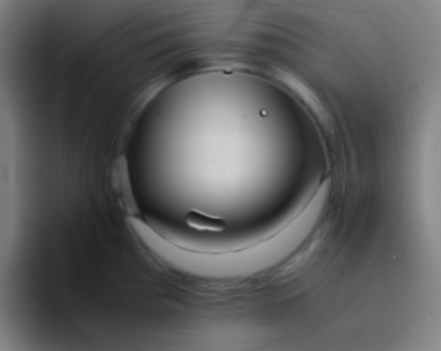 X0000094341193200711162003