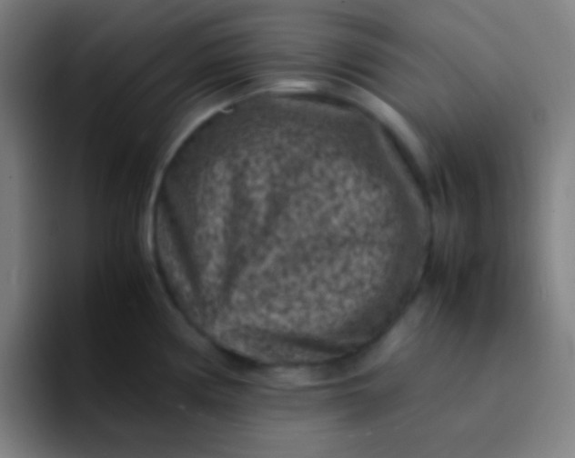 X0000094341194200711162003