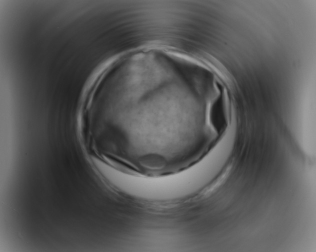 X0000094341196200711162003