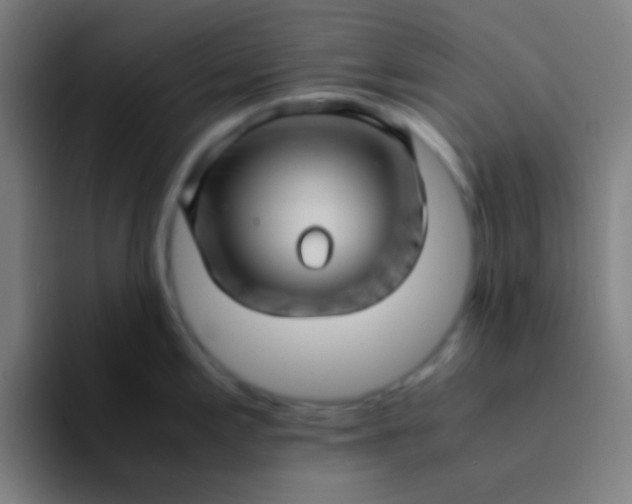 X0000094341197200711162003