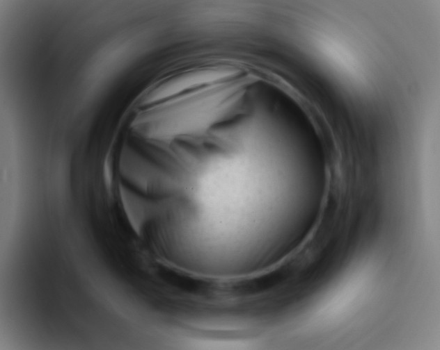 X0000094341198200711162003