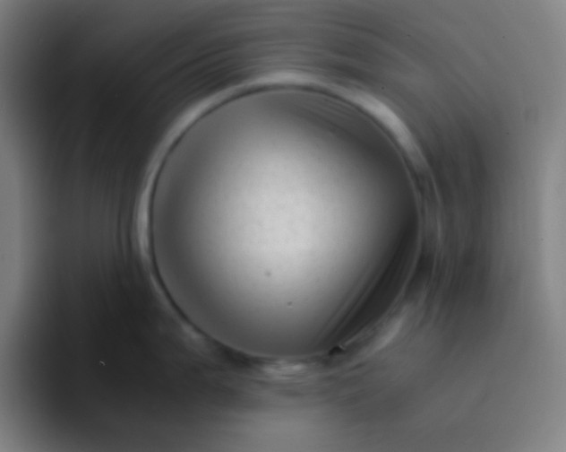 X0000094341199200711162003