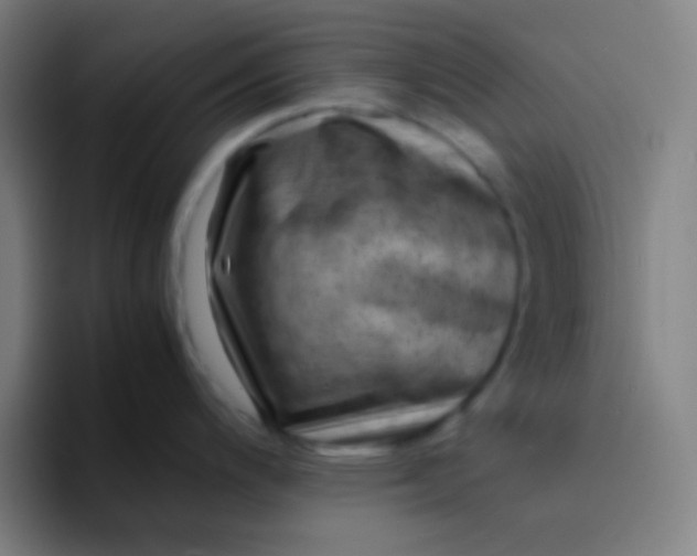 X0000094341200200711162003