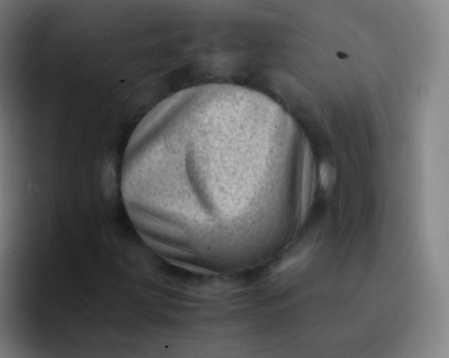 X0000094341203200711162003