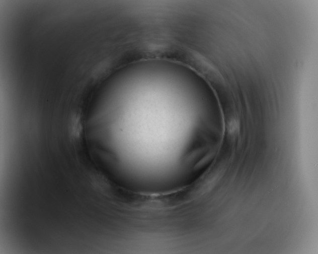 X0000094341204200711162003