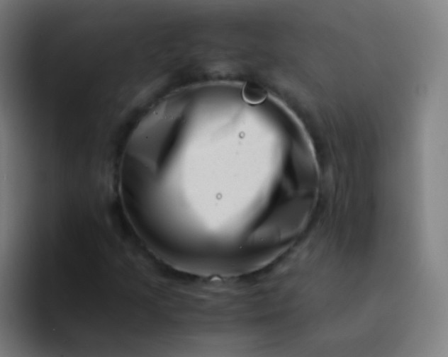 X0000094341205200711162003