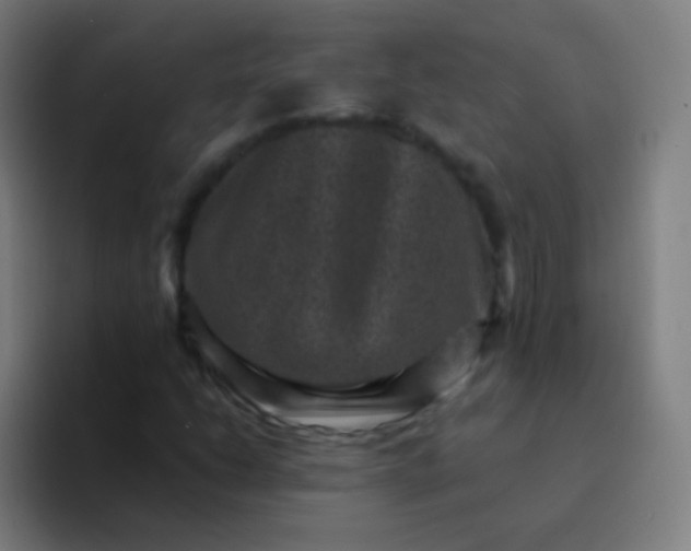 X0000094341206200711162003