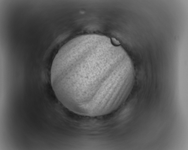 X0000094341207200711162003