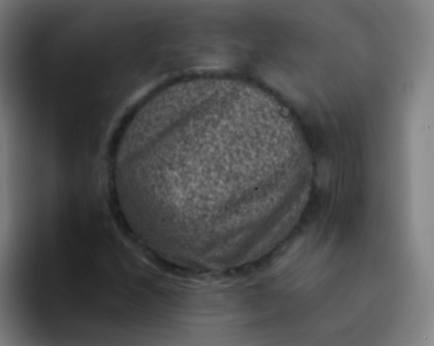 X0000094341208200711162003