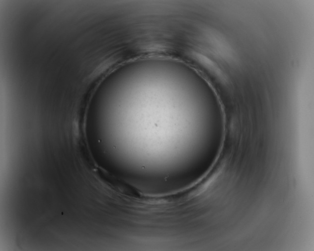 X0000094341209200711162003