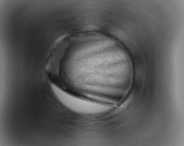 X0000094341210200711162003