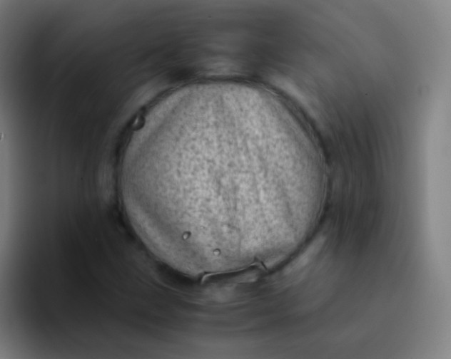 X0000094341211200711162003