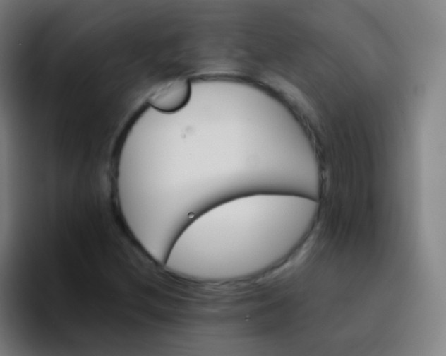 X0000094341212200711162003