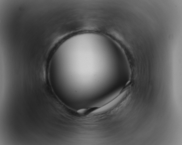 X0000094341214200711162003