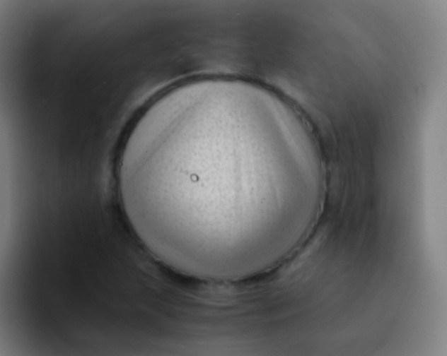 X0000094341215200711162003