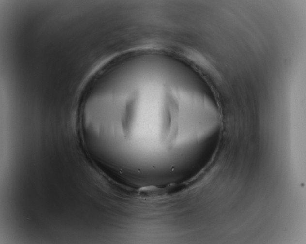 X0000094341216200711162003