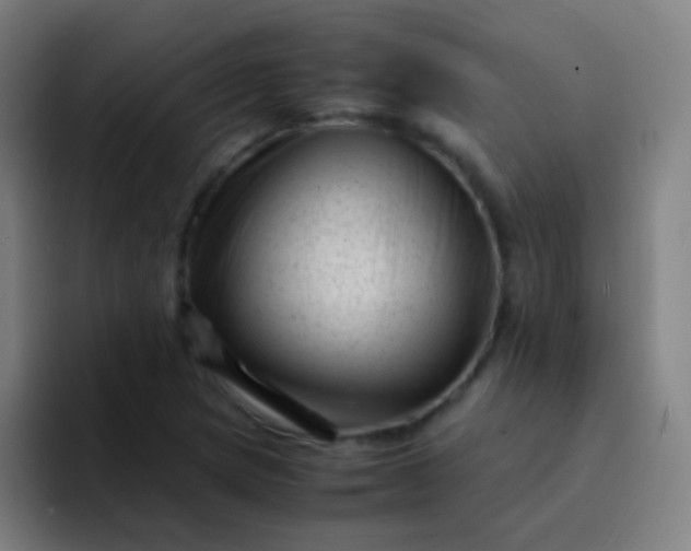 X0000094341217200711162003