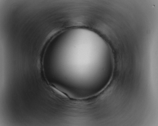 X0000094341218200711162003