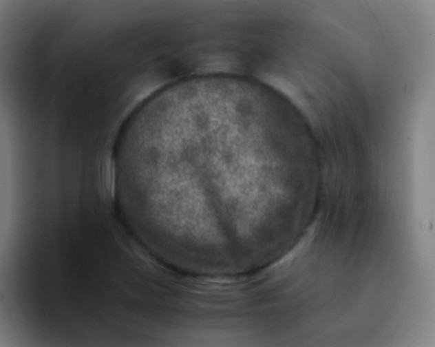 X0000094341219200711162003